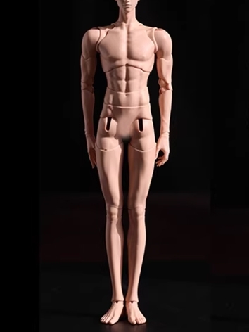BJD Male Body 65Fortis 66.3...